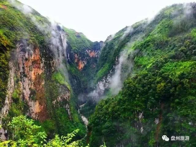 水果益智对对碰